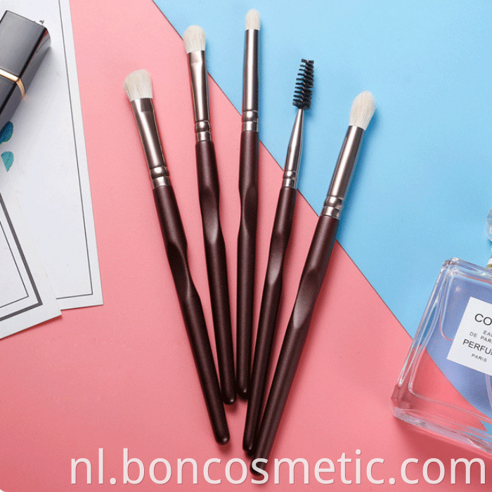 Professional Eyeshadow Brushes